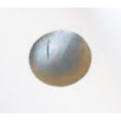 Shot Put (0)